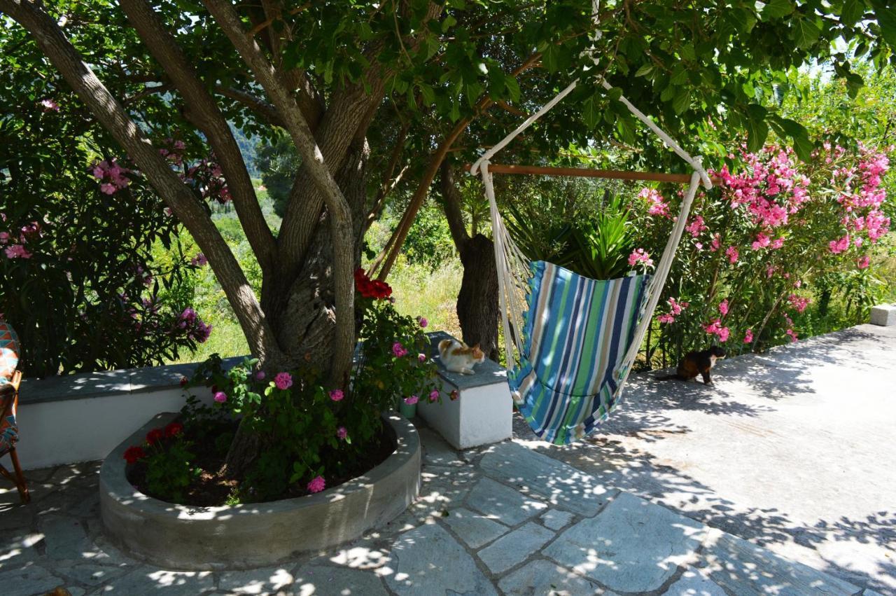 Alikias Country House Panormos  Exterior foto